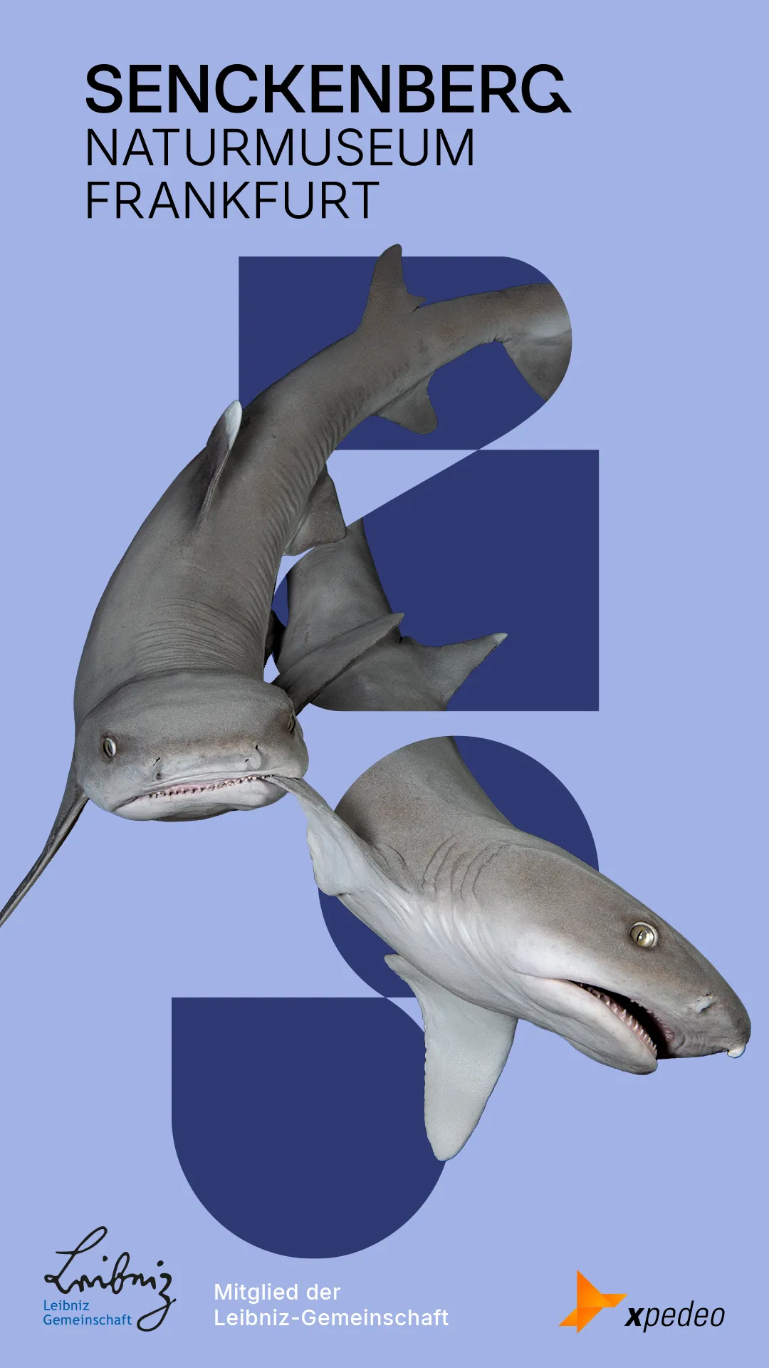 Startseite der App vom Senckenberg Museum Startseite der App vom Senckenberg Museum