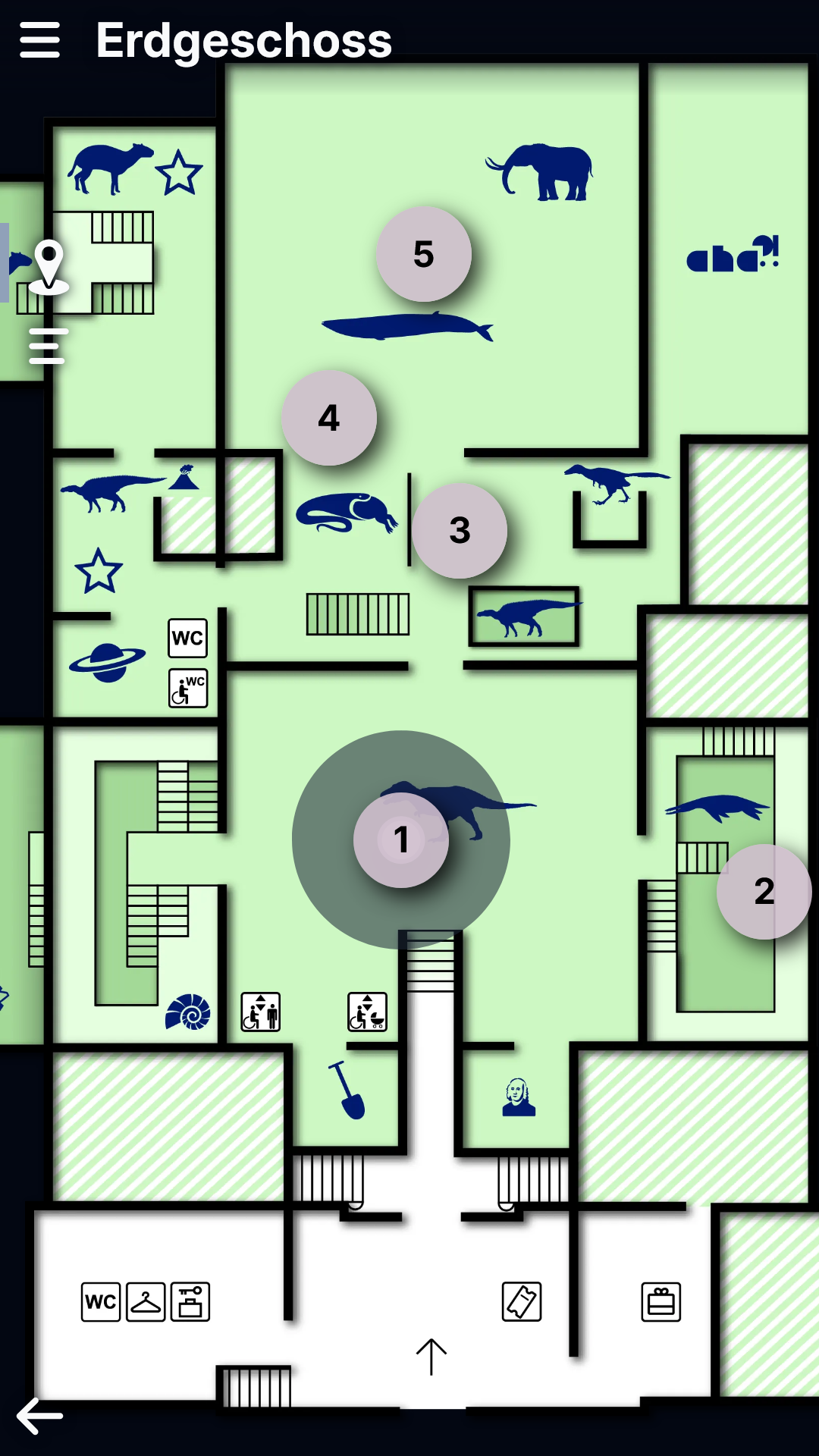 Senckenberg Museum Grundriss Erdgeschoss Senckenberg Museum Grundriss Erdgeschoss