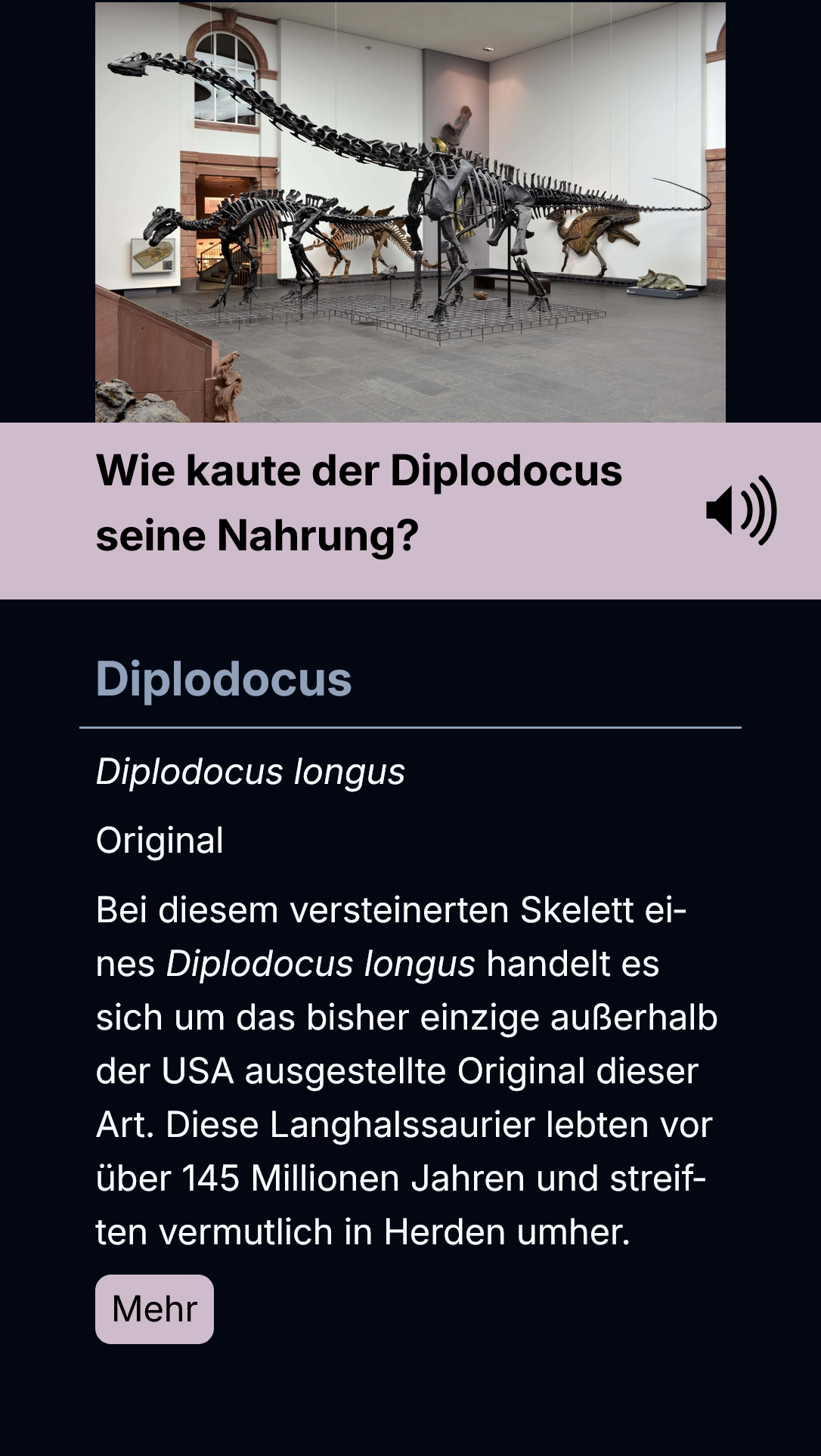 Anzeige der Exponate im Senckenberg Museum Anzeige der Exponate im Senckenberg Museum