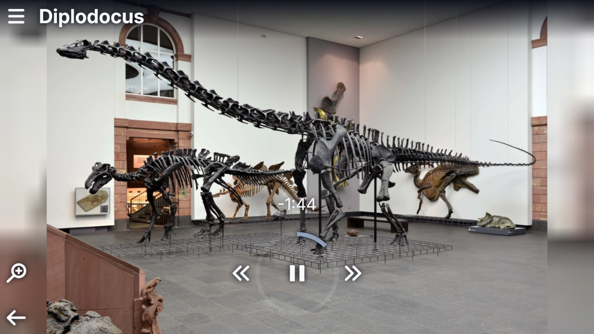 Audiobeitrag Senckenberg Museum Audiobeitrag Senckenberg Museum